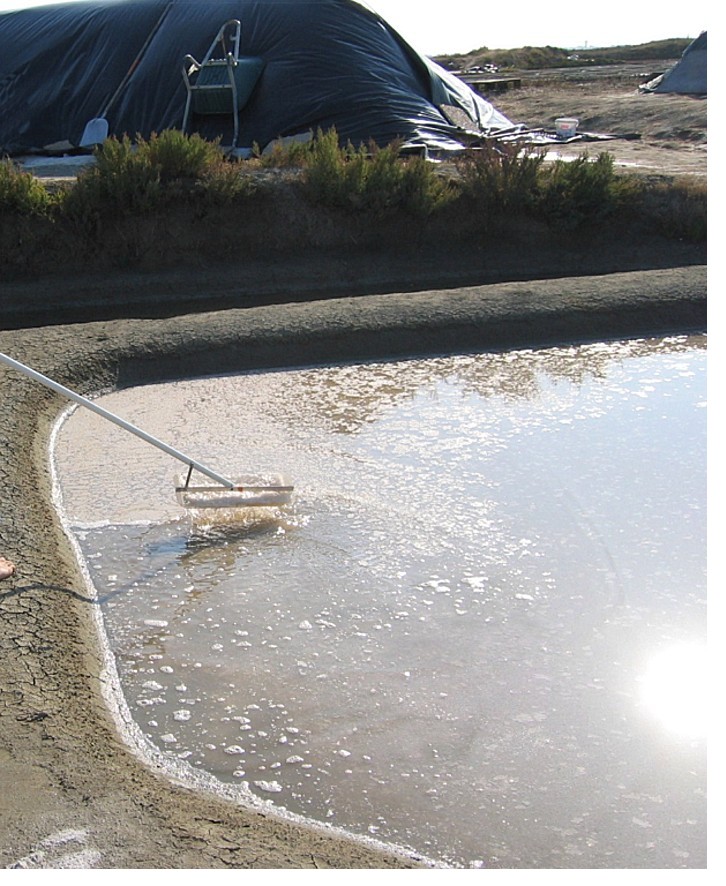 Was Sie schon immer über Salz wissen sollten!